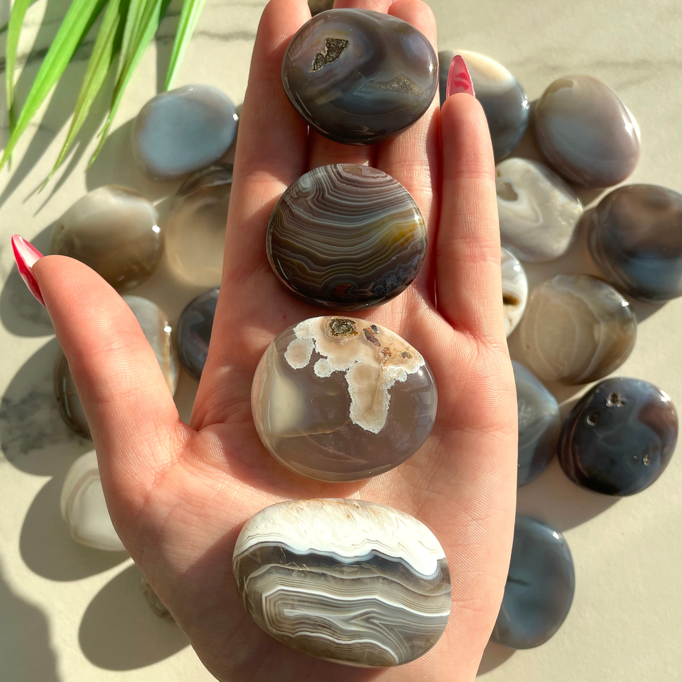 Pocket Palmstone - Botswana Agate Pocket Palmstone - Botswana Agate